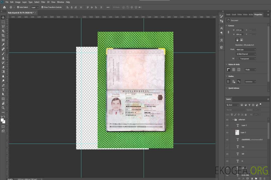 Look photo du pass hongrois version 2 template Look photo du pass hongrois version 2 template